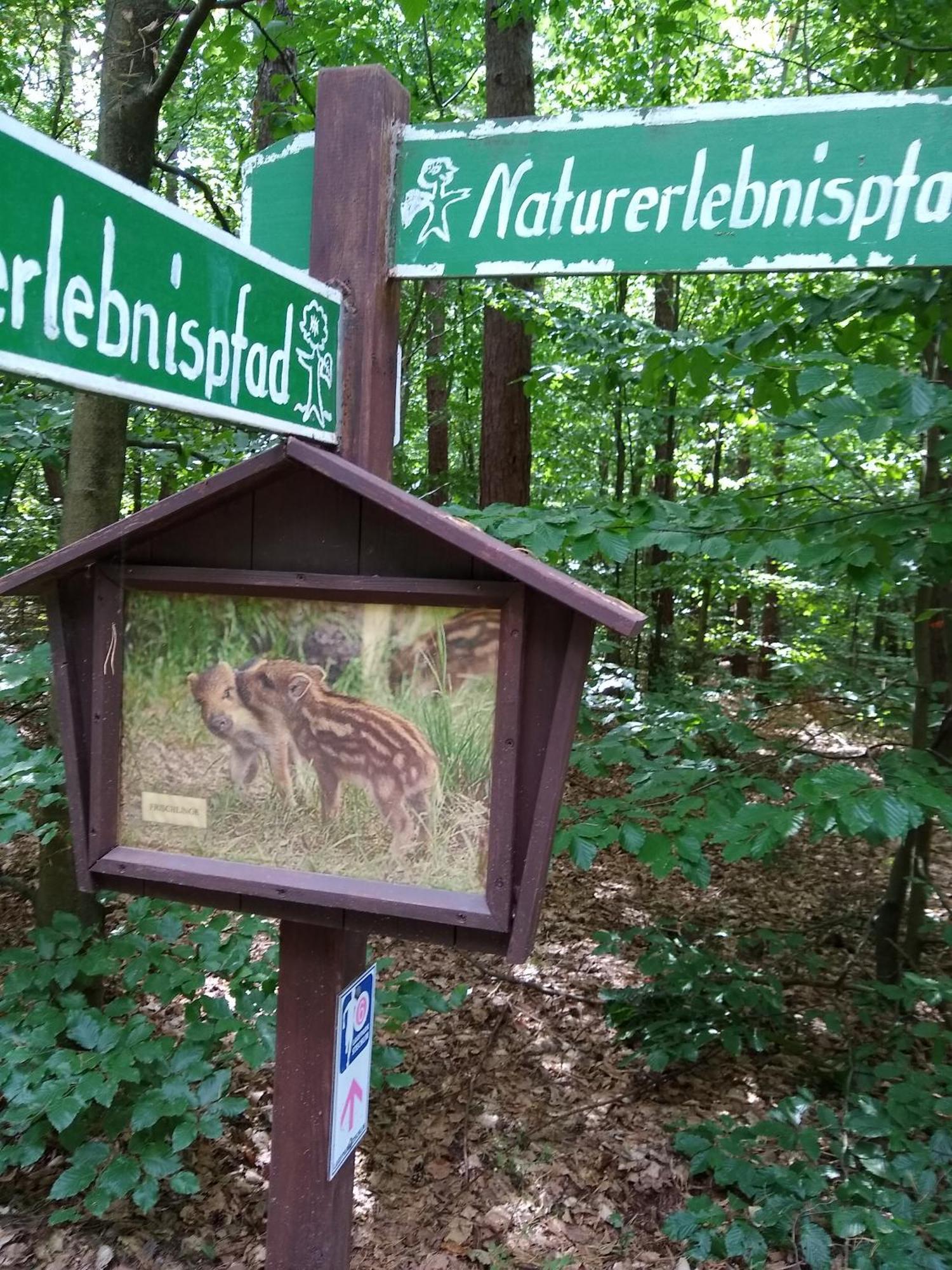Zwei Seen Ferienhaus Canow Buitenkant foto