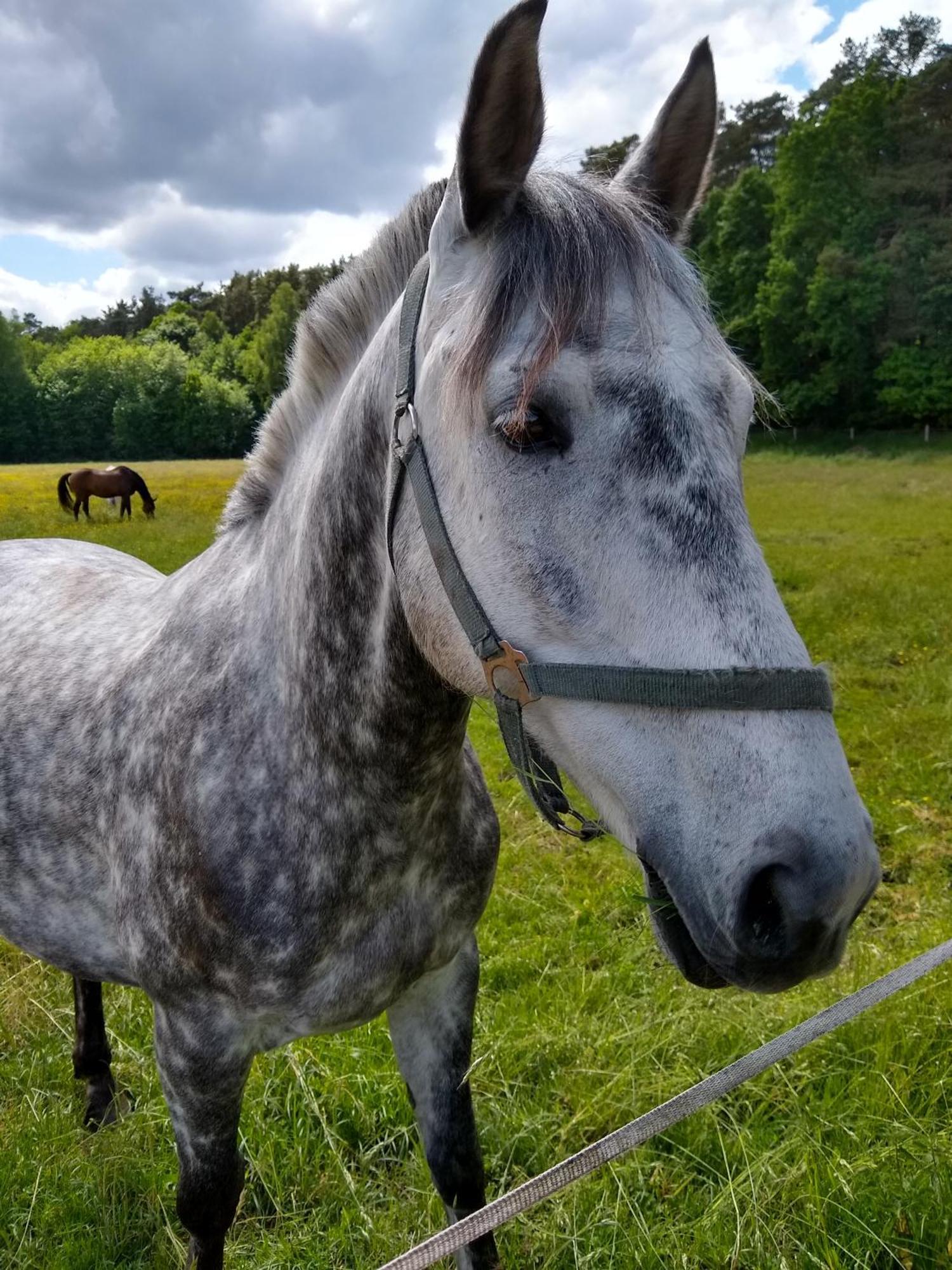 Zwei Seen Ferienhaus Canow Buitenkant foto
